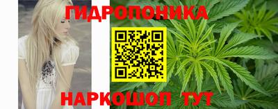 стаф Кимры