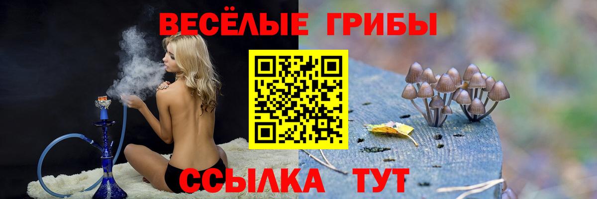Псилоцибиновые грибы прущие грибы  Вход с VPN  Коркино  Галлюциногенные грибы Psilocybe 